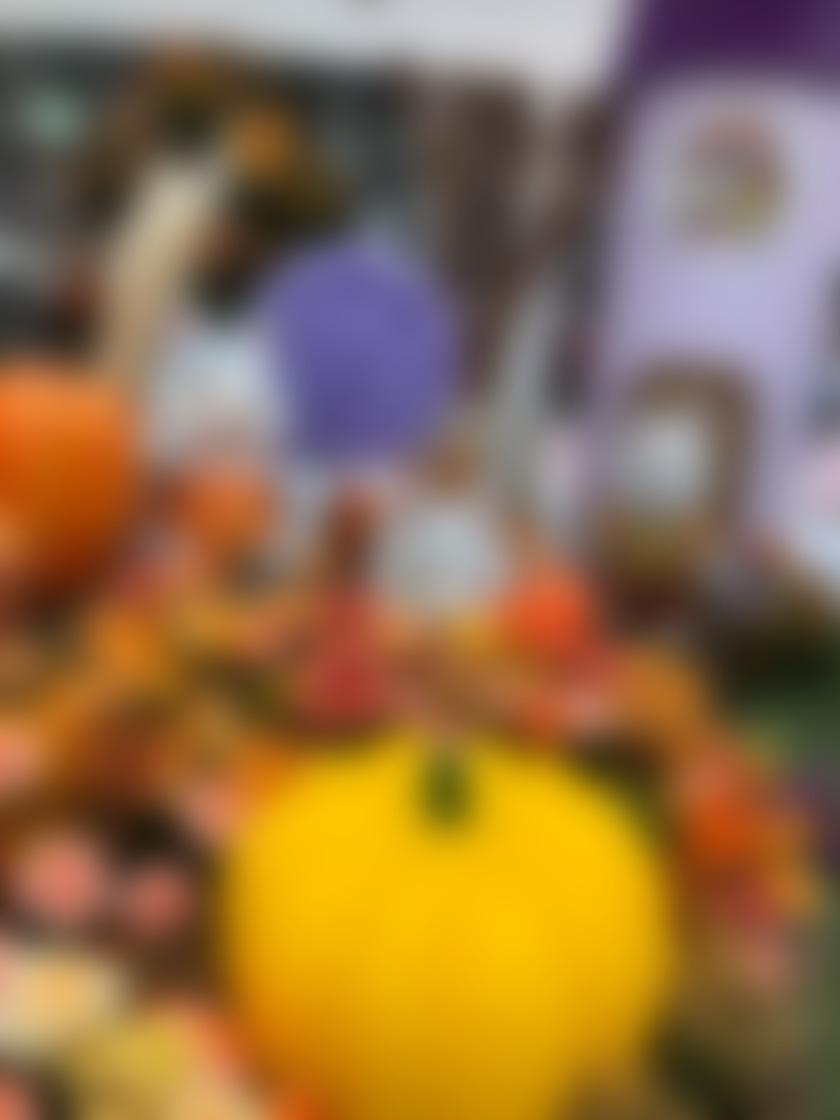 タイトル