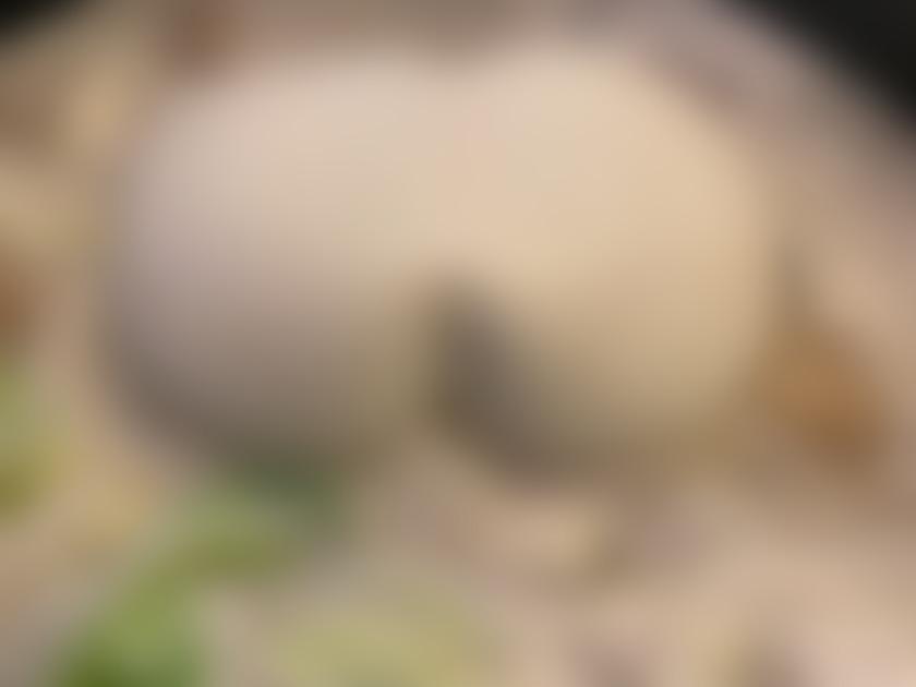 タイトル