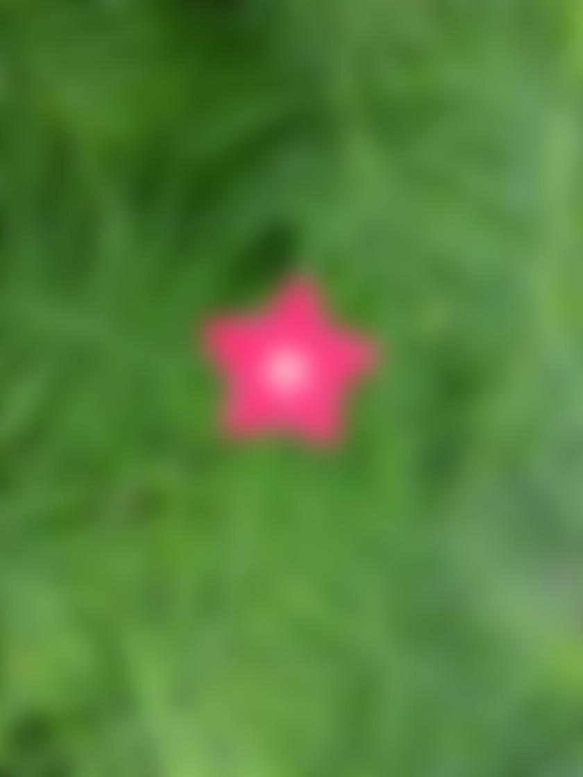 タイトル