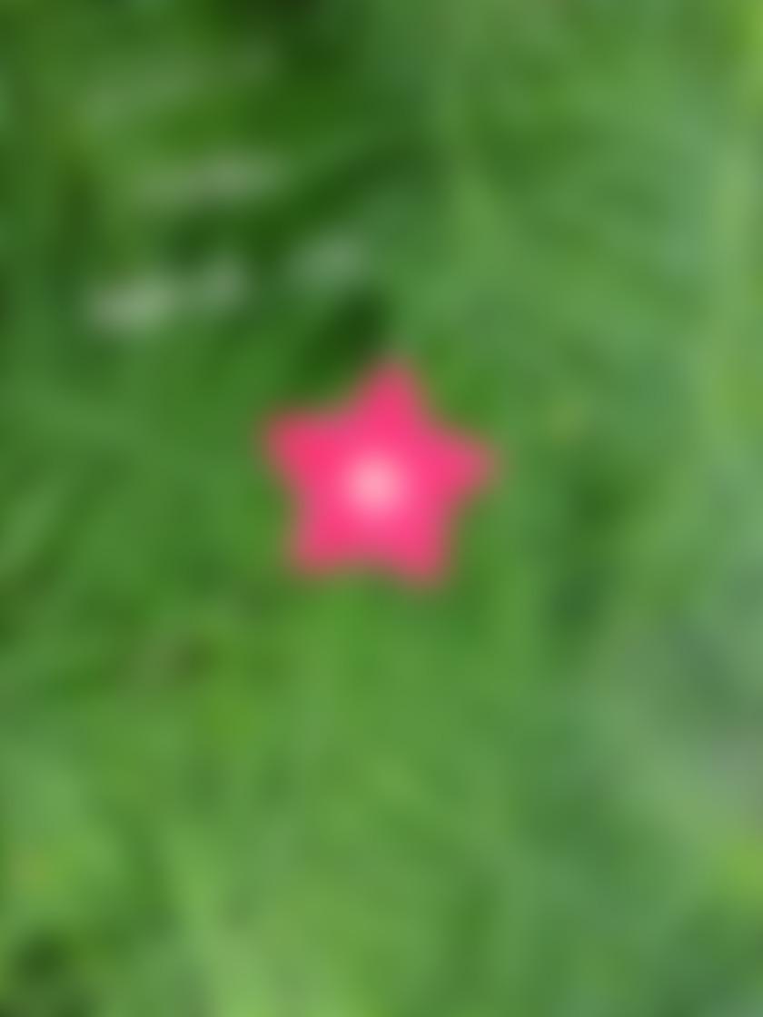 タイトル