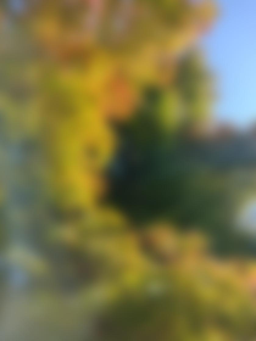 タイトル