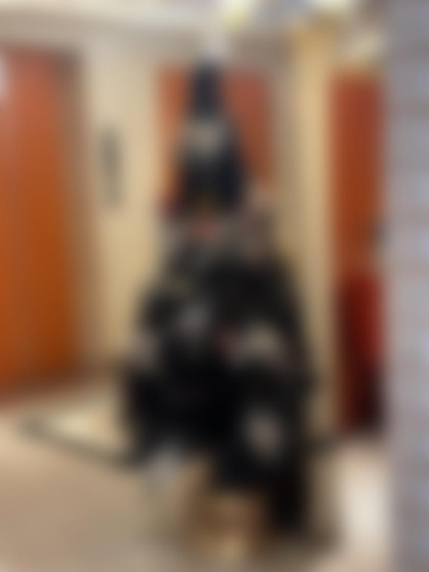タイトル
