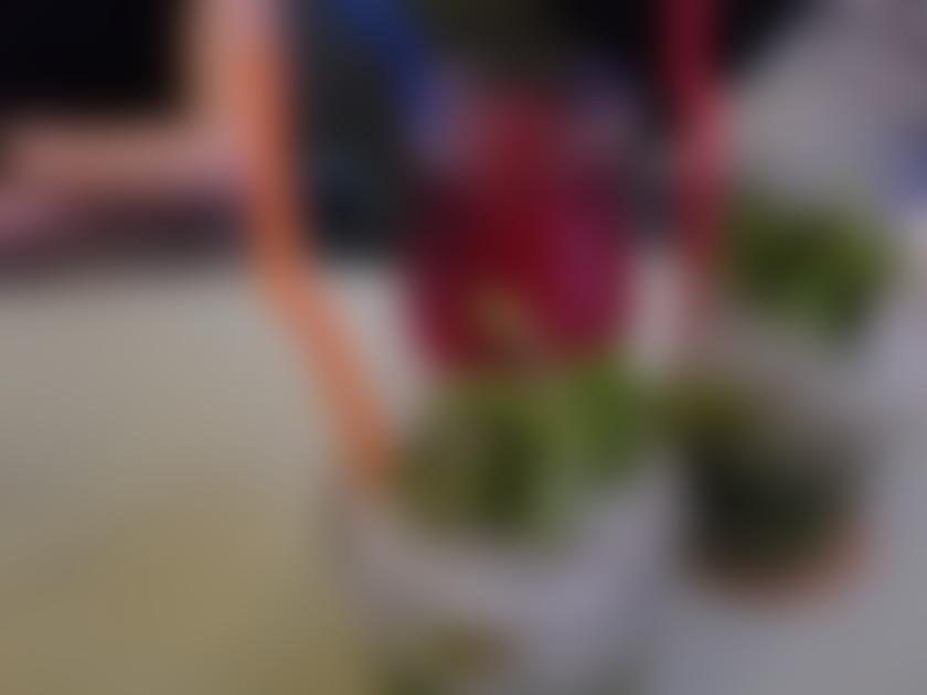 タイトル