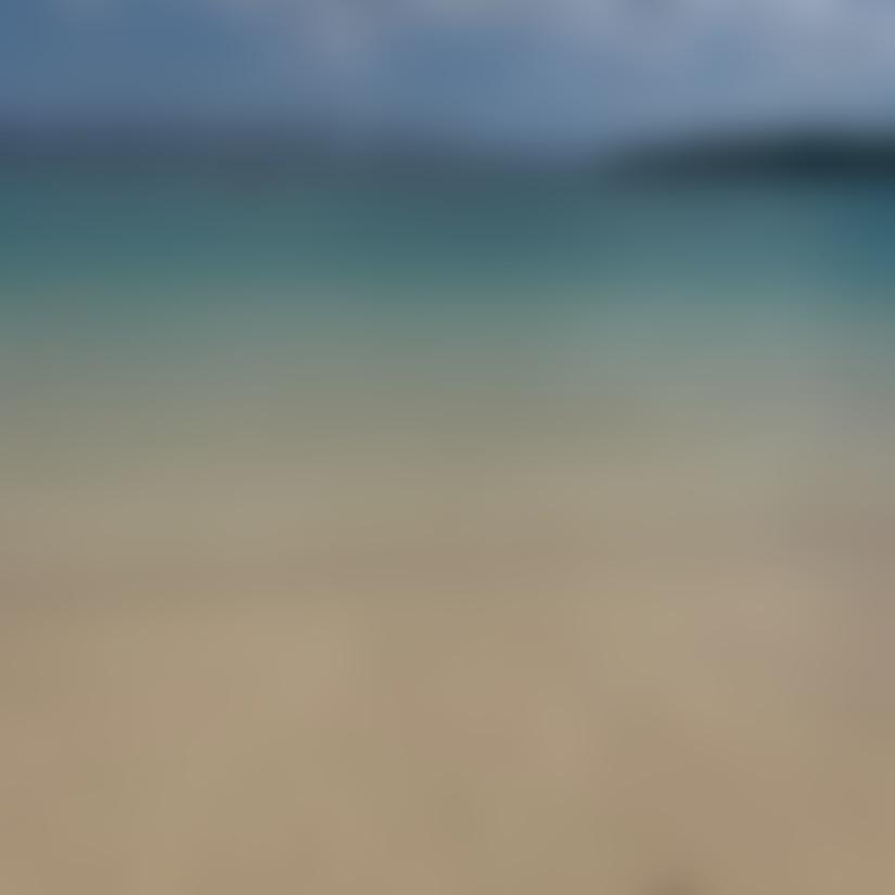 555🐙 旅人