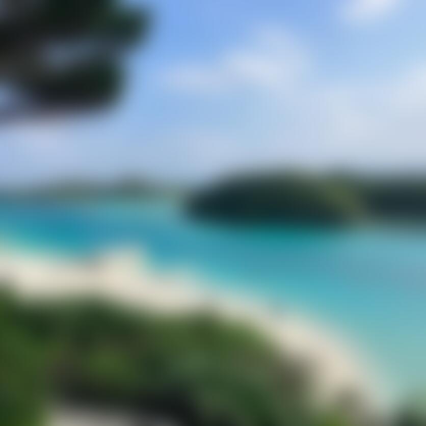 555🐙 旅人