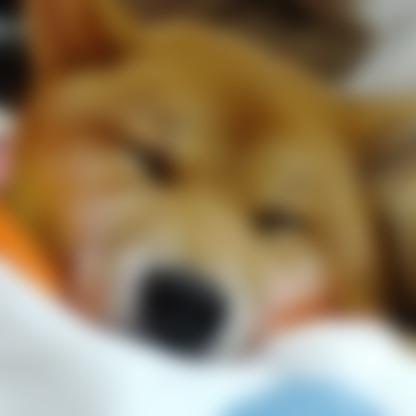 タイトル
