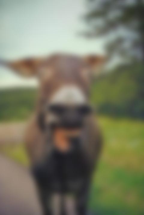 タイトル