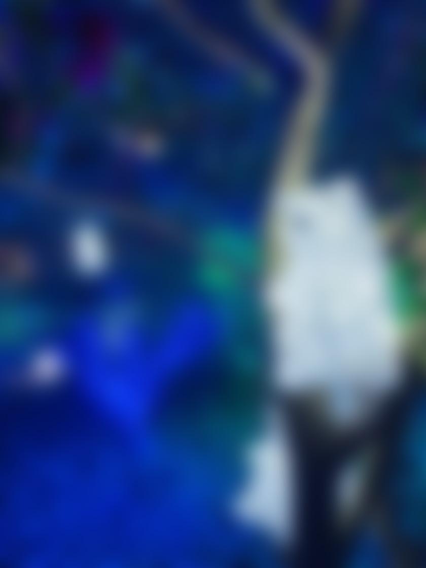 タイトル