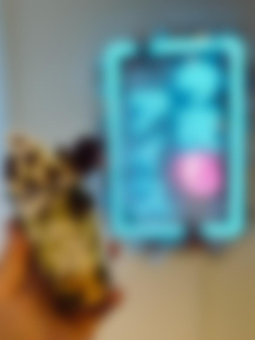 タイトル