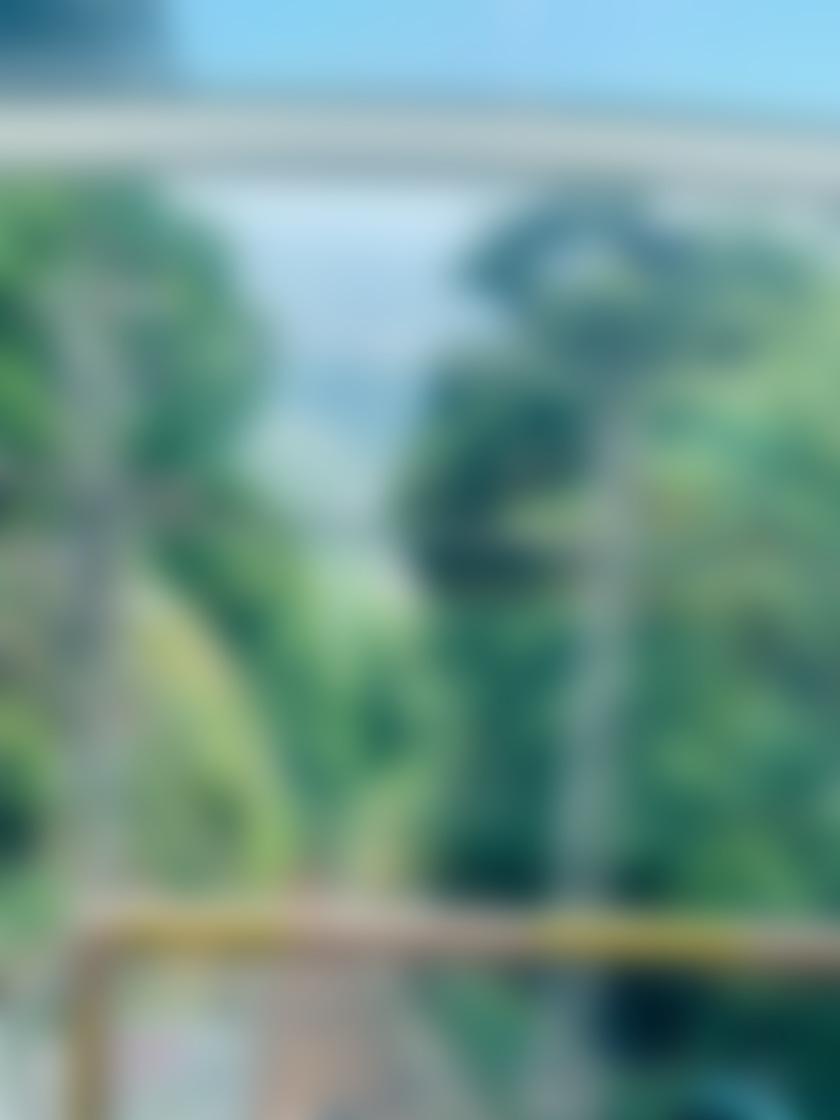 タイトル