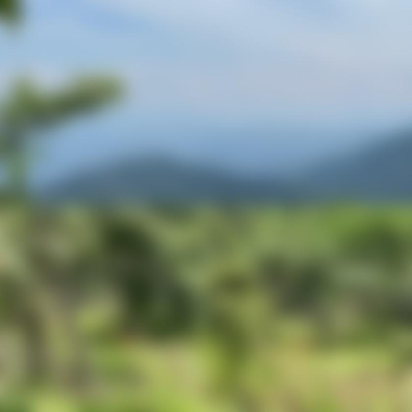 タイトル