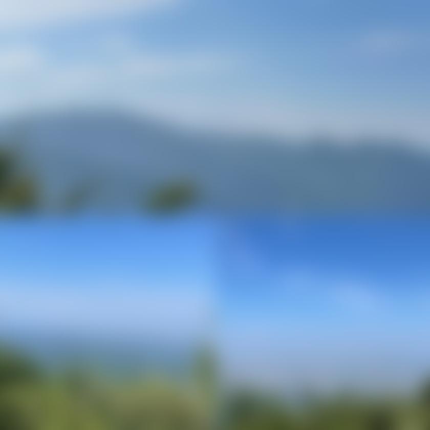 タイトル