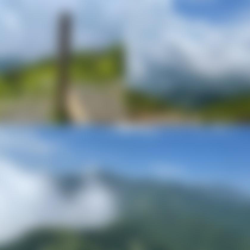 タイトル