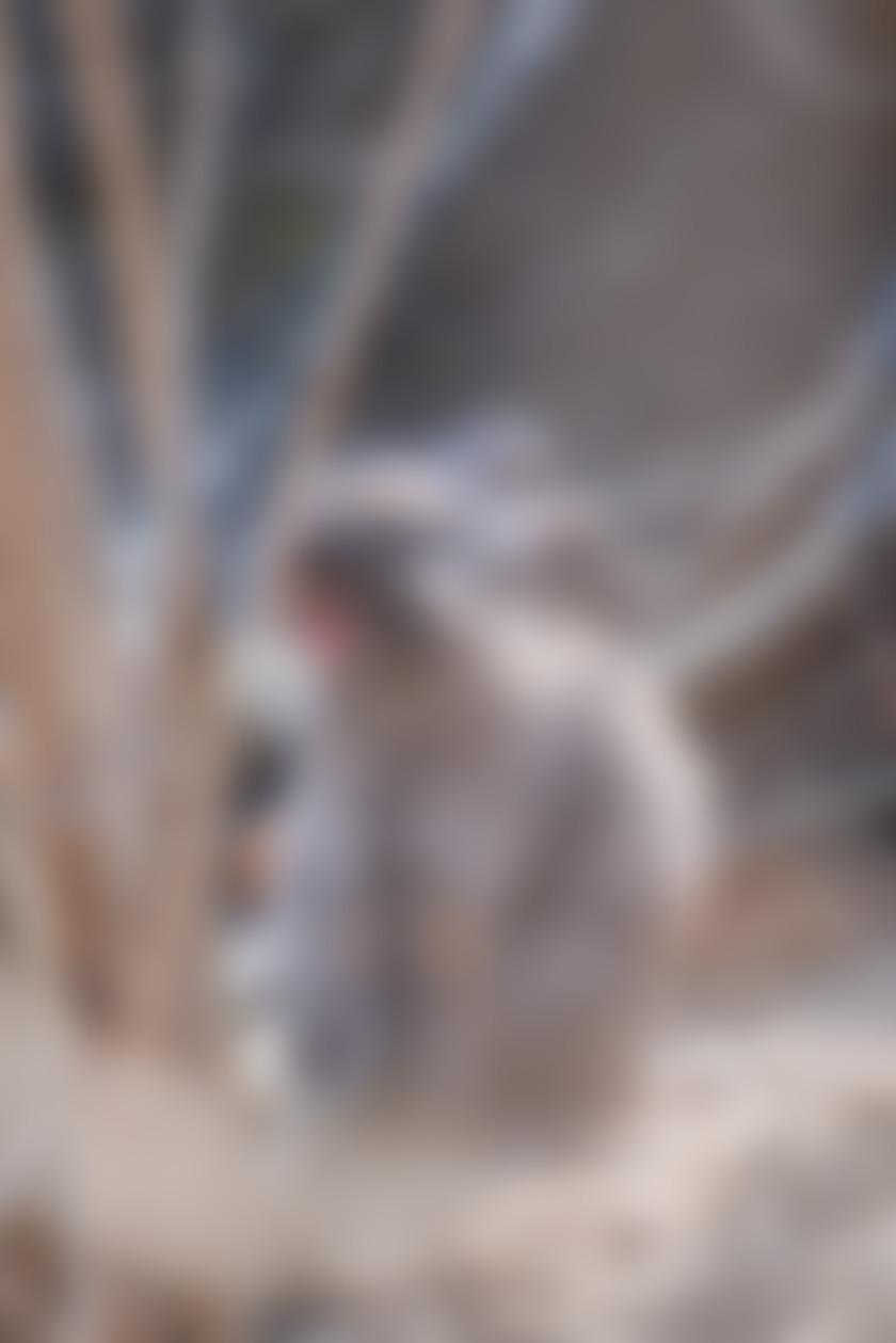 タイトル