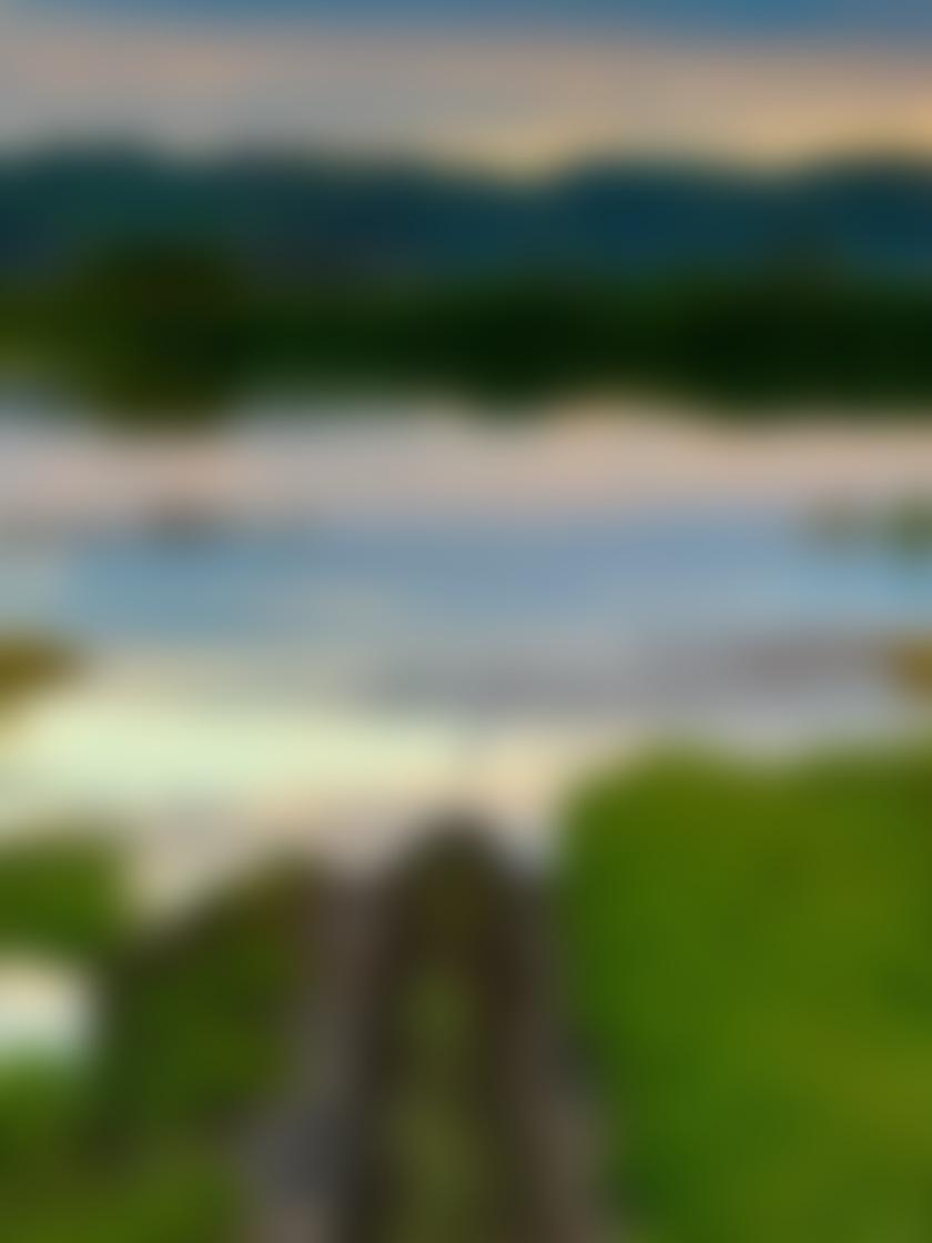 タイトル