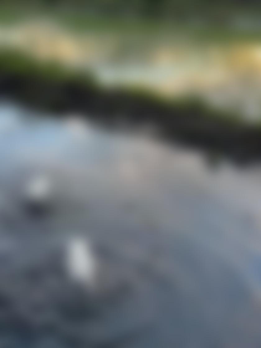 タイトル