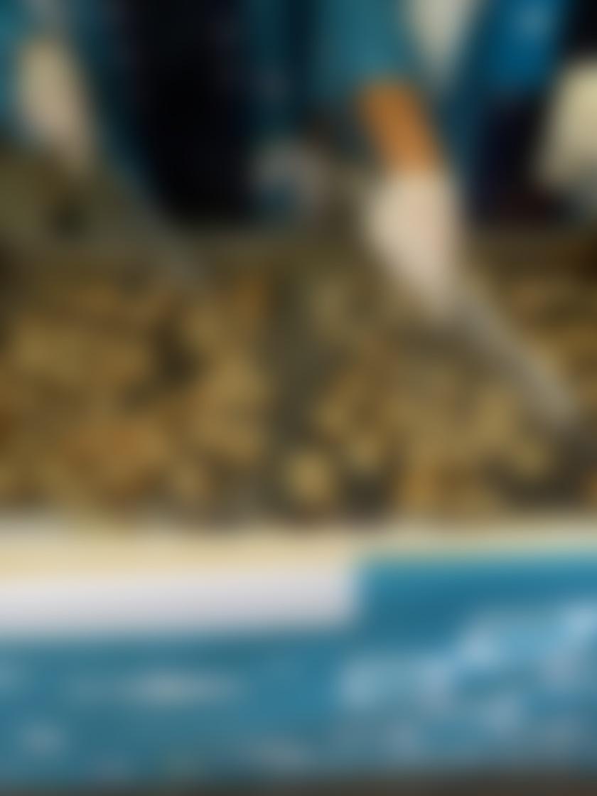 タイトル